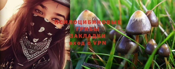 синтетический гашиш Верхний Тагил