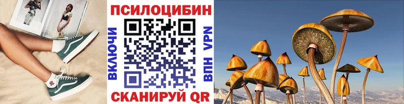 Псилоцибиновые грибы Cubensis  Нерехта 